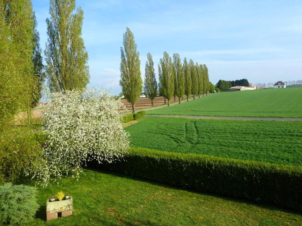 Appartement Charmant A Hochfelden 100 M² Et Parking Gratuit Gottesheim 外观 照片