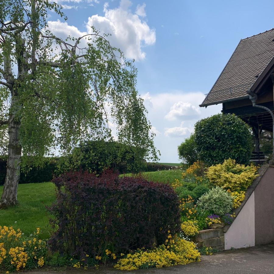 Appartement Charmant A Hochfelden 100 M² Et Parking Gratuit Gottesheim 外观 照片